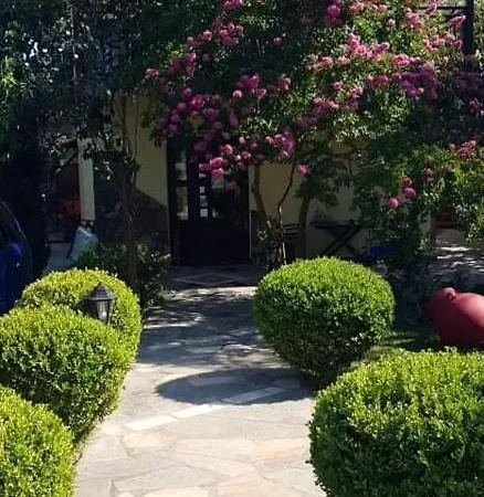 Maria Chrysi Ammoudia