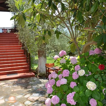 Maria Chrysi Ammoudia