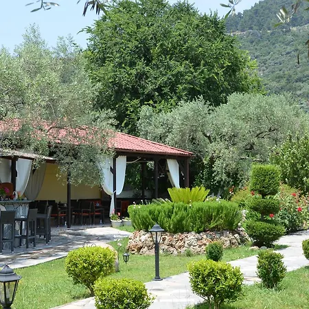 Maria Chrysi Ammoudia