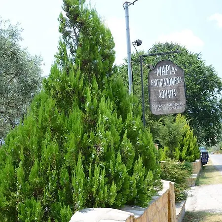 Maria Chrysi Ammoudia