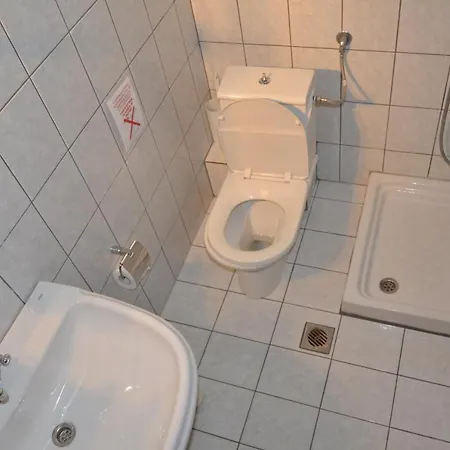 Maria Chrysi Ammoudia