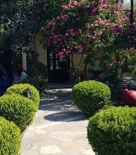 Maria Chrisi Ammoudia