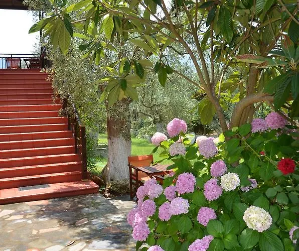 Maria Chrisi Ammoudia