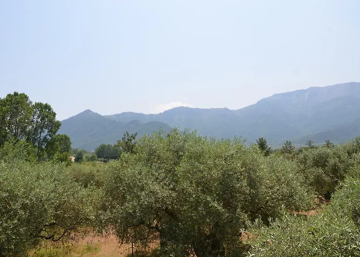 Maria 3* Chrisi Ammoudia