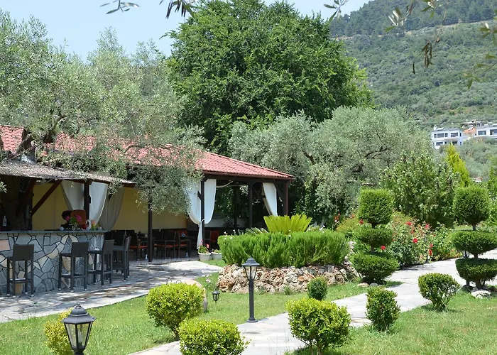 Maria Chrisi Ammoudia