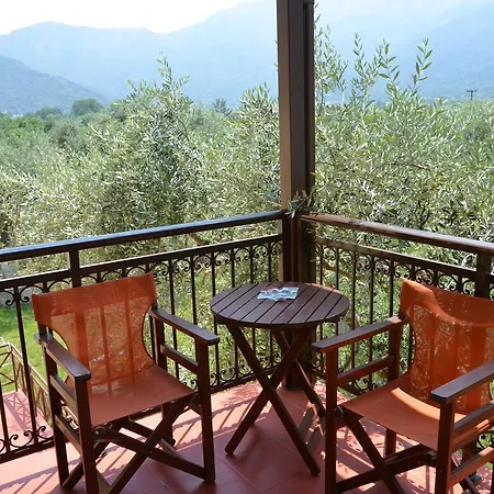 Maria Chrysi Ammoudia